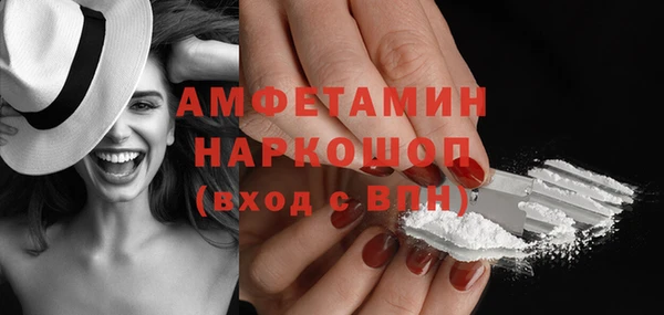 индика Ростов