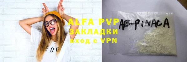 индика Ростов