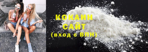 индика Ростов