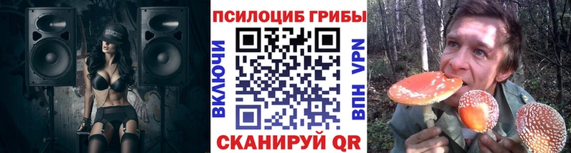 магазин  наркотиков  Светлогорск  Галлюциногенные грибы мицелий 